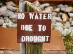 Watch Live WEBCAST of Water Forum - “The New Reality: Addressing California’s Water Challenge”
